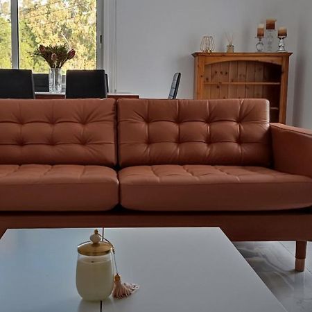 Ellas Modern Duplex City Center 尼科西亚 外观 照片