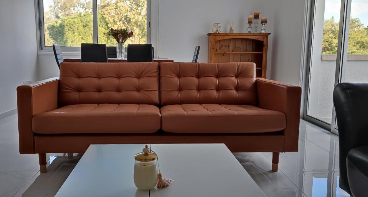 Ellas Modern Duplex City Center 尼科西亚 外观 照片