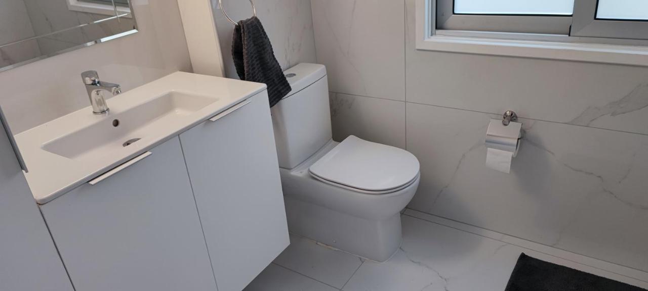 Ellas Modern Duplex City Center 尼科西亚 外观 照片