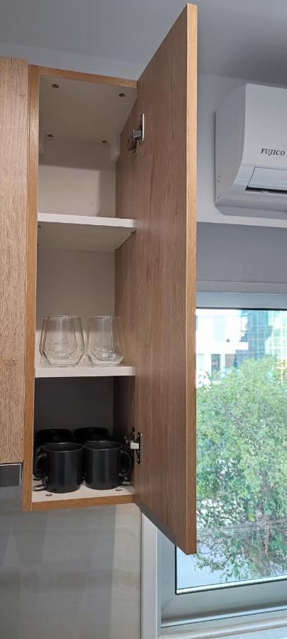 Ellas Modern Duplex City Center 尼科西亚 外观 照片