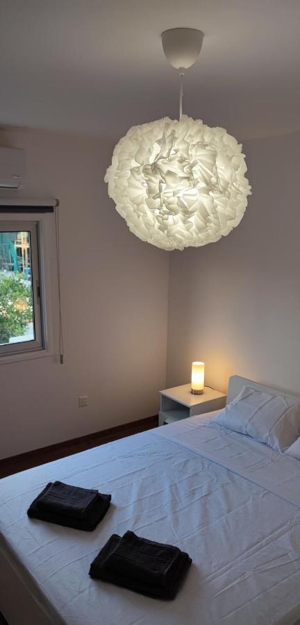 Ellas Modern Duplex City Center 尼科西亚 外观 照片