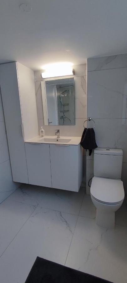 Ellas Modern Duplex City Center 尼科西亚 外观 照片